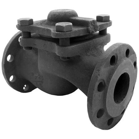 Клапан обратный фланцевый Ci 16кч9нж 40